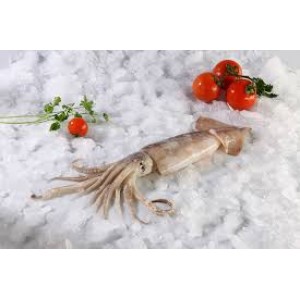 Θράψαλο καθαρισμένο