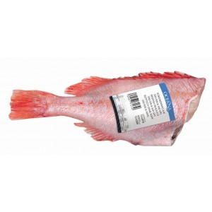 Κοκκινόψαρο