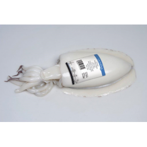 Σουπιές καθαρισμένες